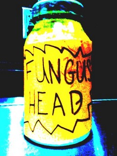 fungushead